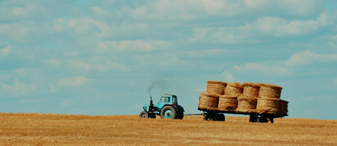 agri-1 agri-1